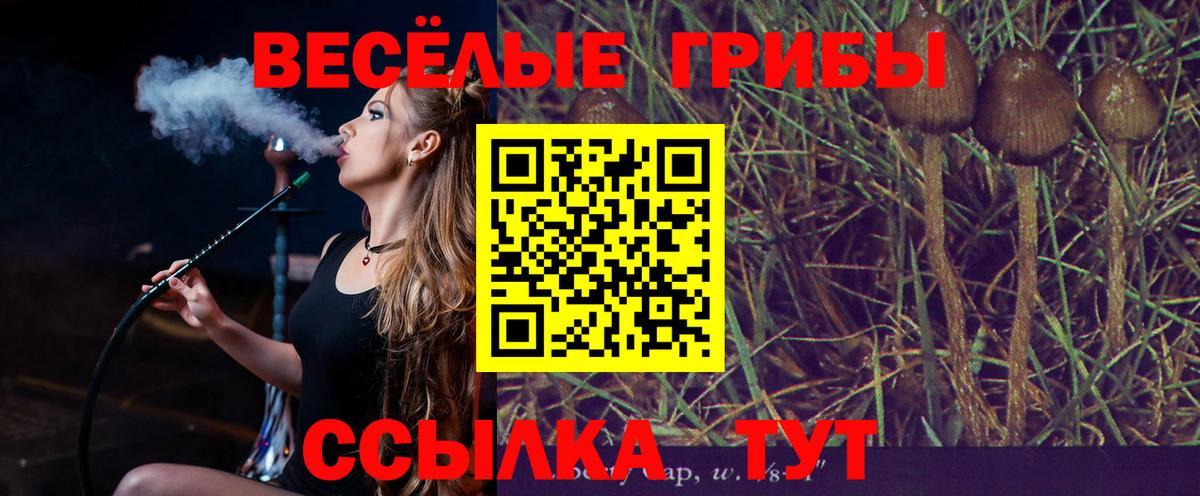 Псилоцибиновые грибы MAGIC MUSHROOMS  Псилоцибиновые грибы GOLDEN TEACHER  Верхняя Салда  как найти наркотики  Вход с VPN 